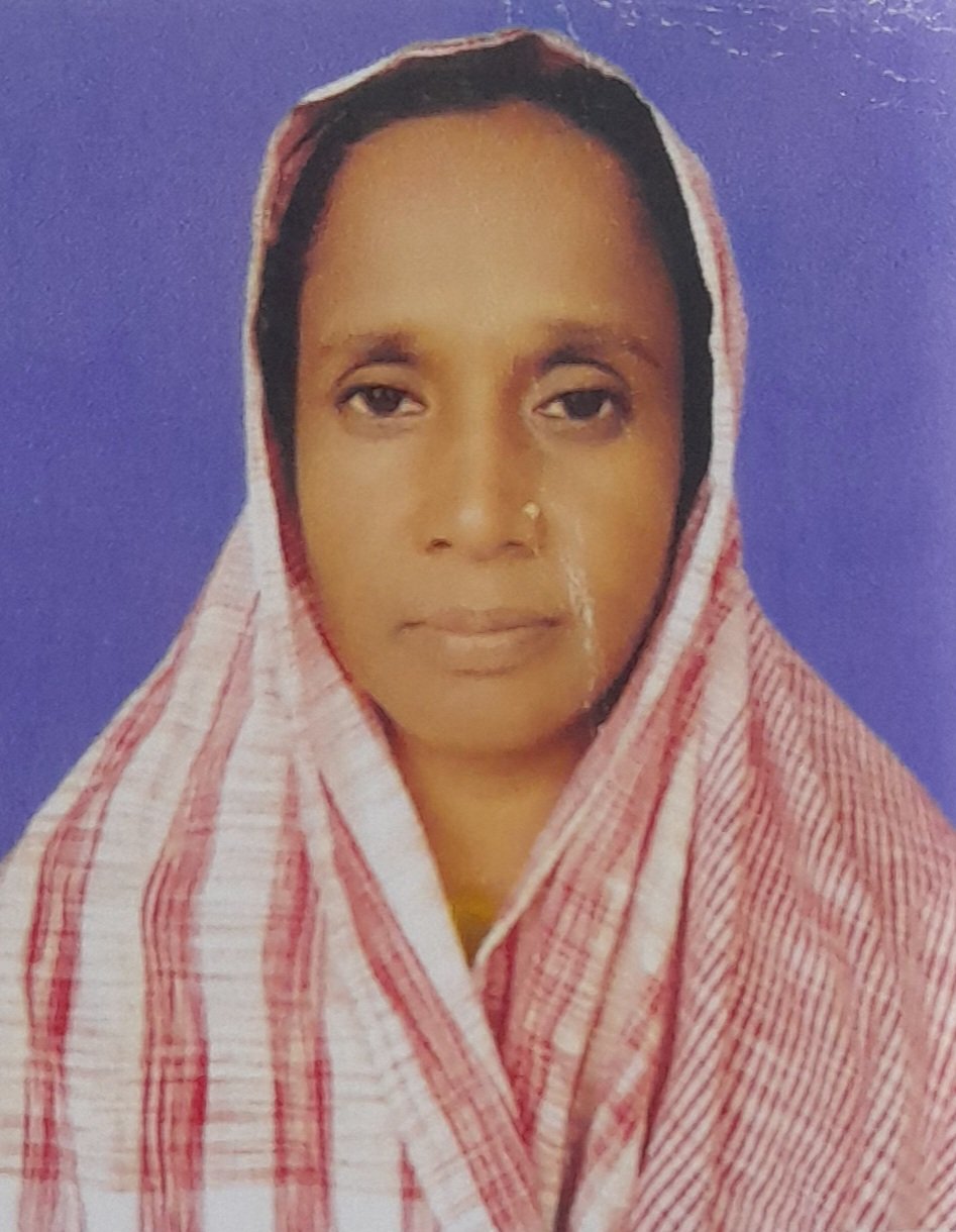 Mst Ferdousi Sultana